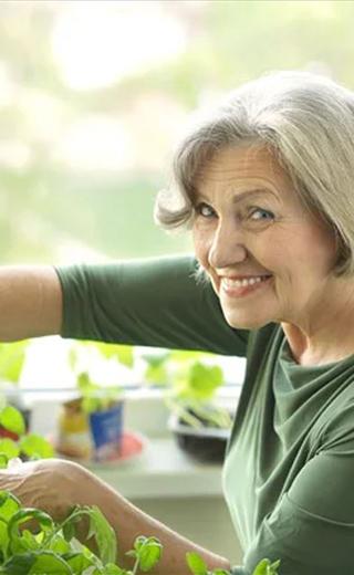 femme s'occupant d'une plante